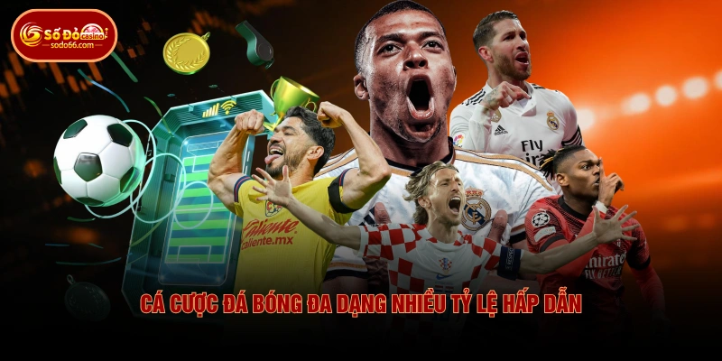 Cá cược đá bóng đa dạng nhiều tỷ lệ hấp dẫn