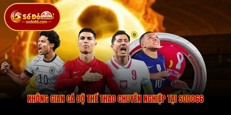 Không gian cá độ thể thao chuyên nghiệp tại Sodo66