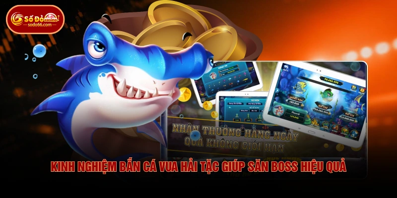 Kinh Nghiệm Bắn Cá Vua Hải Tặc Giúp Săn Boss Hiệu Quả
