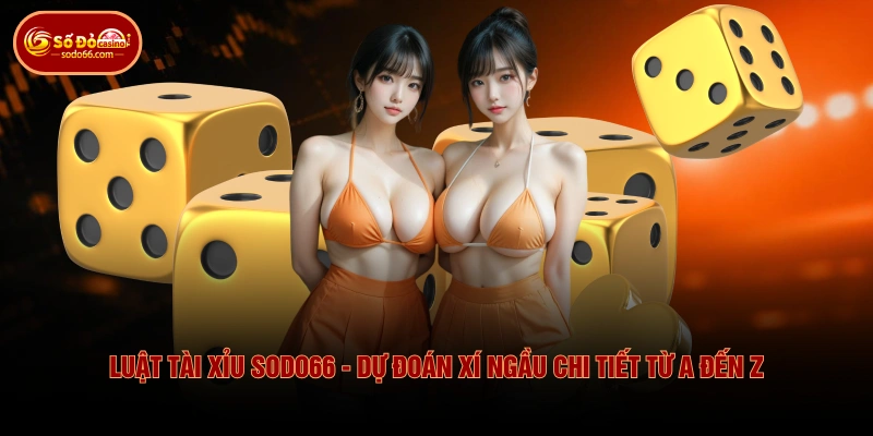 Luật Tài Xỉu SODO66 - Dự Đoán Xí Ngầu Chi Tiết Từ A Đến Z