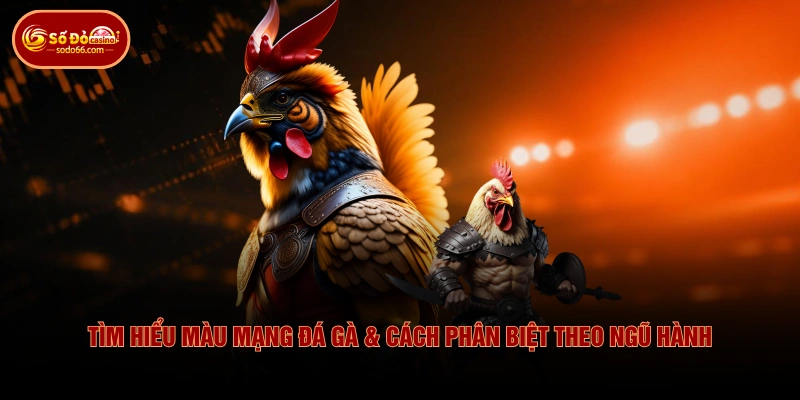 Tìm Hiểu Màu Mạng Đá Gà & Cách Phân Biệt Theo Ngũ Hành